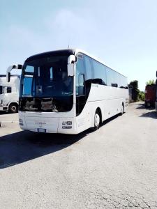 d8567705-3164-4d54-9137-db1357689be9